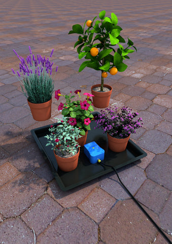 Easy2GO watering system